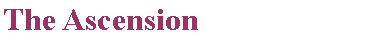 Text Box: The Ascension