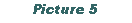 Text Box: Picture 5