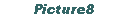 Text Box: Picture8