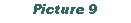 Text Box: Picture 9