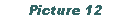 Text Box: Picture 12